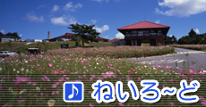 ねいろ~ど